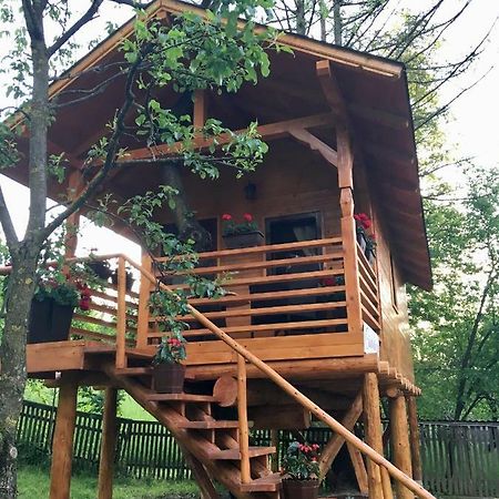 Domeniul Horj Casa Din Cires Moisei Villa Luaran gambar