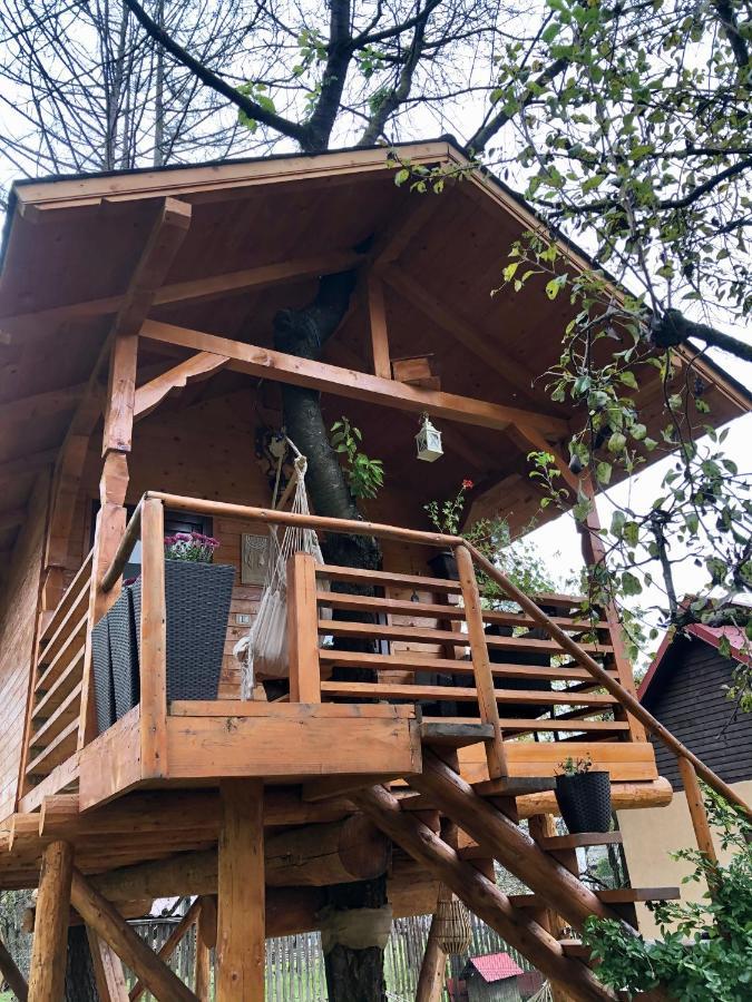 Domeniul Horj Casa Din Cires Moisei Villa Luaran gambar