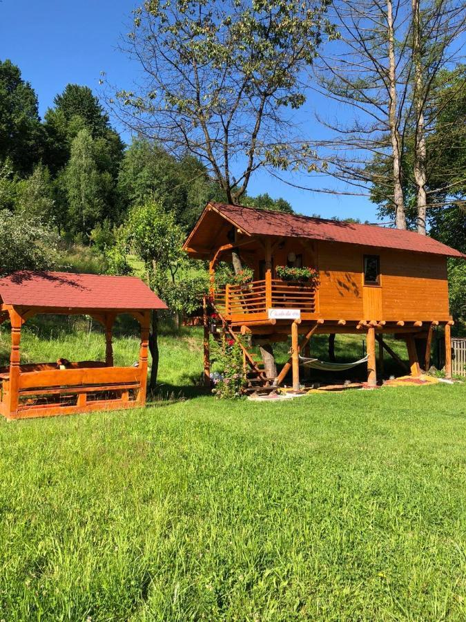 Domeniul Horj Casa Din Cires Moisei Villa Luaran gambar