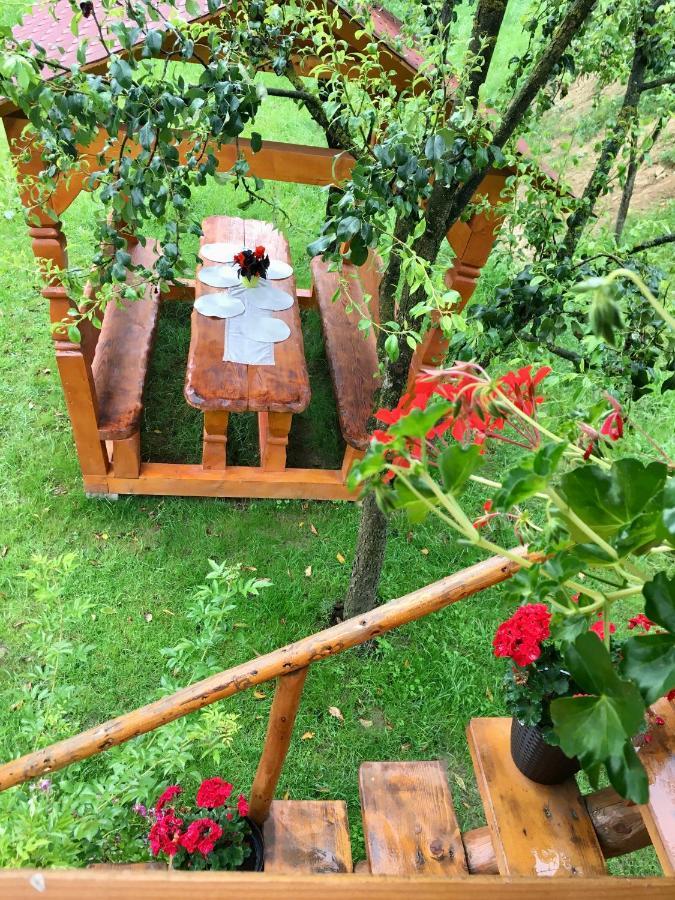 Domeniul Horj Casa Din Cires Moisei Villa Luaran gambar