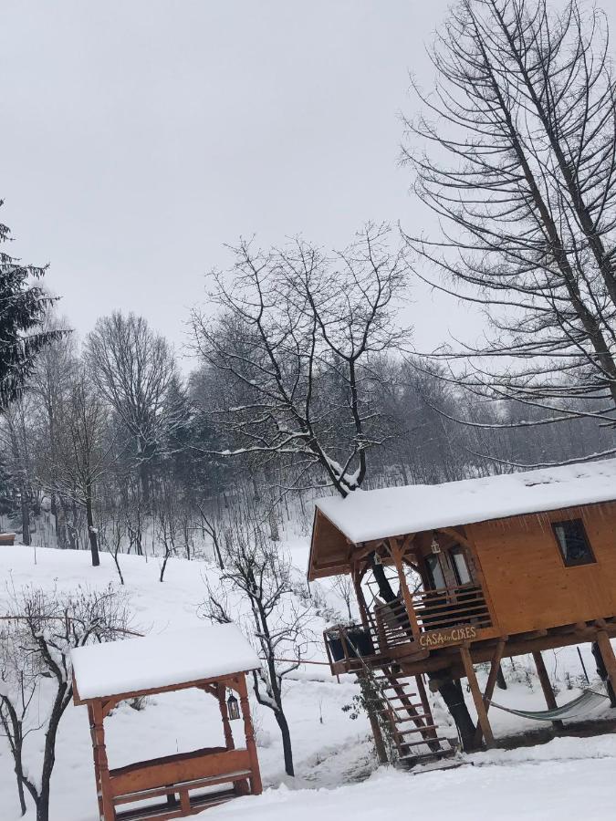 Domeniul Horj Casa Din Cires Moisei Villa Luaran gambar