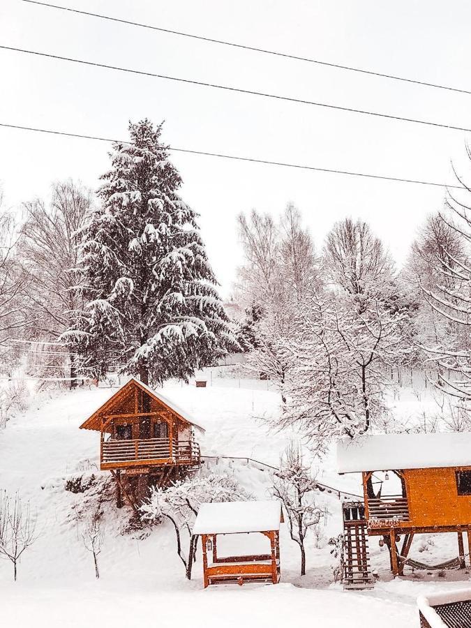 Domeniul Horj Casa Din Cires Moisei Villa Luaran gambar