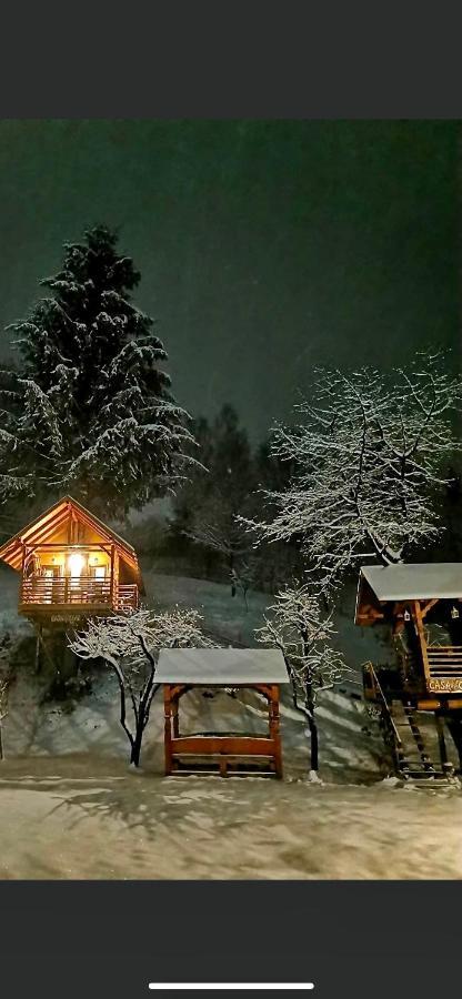 Domeniul Horj Casa Din Cires Moisei Villa Luaran gambar