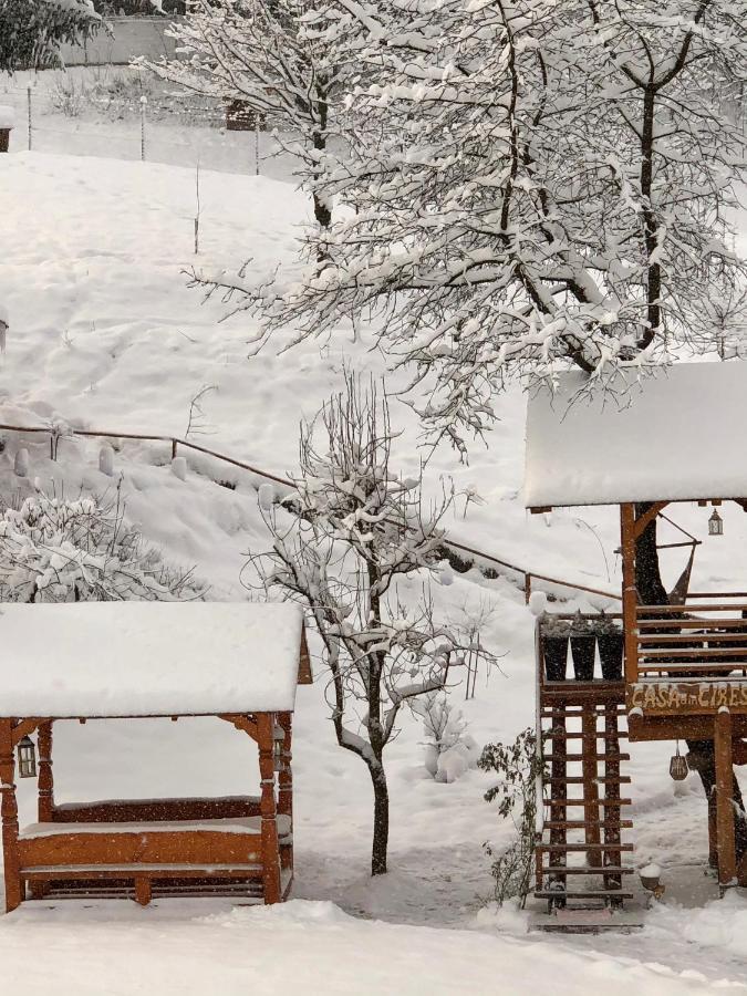 Domeniul Horj Casa Din Cires Moisei Villa Luaran gambar