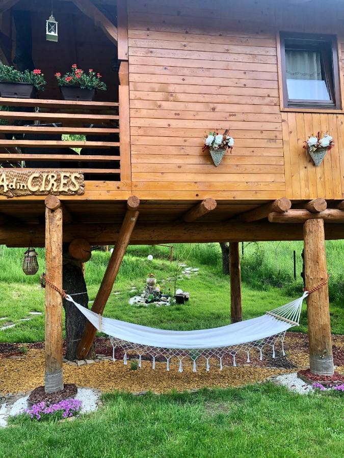 Domeniul Horj Casa Din Cires Moisei Villa Luaran gambar