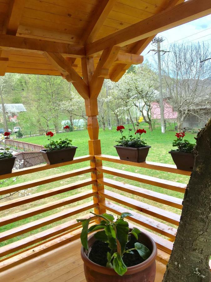 Domeniul Horj Casa Din Cires Moisei Villa Luaran gambar