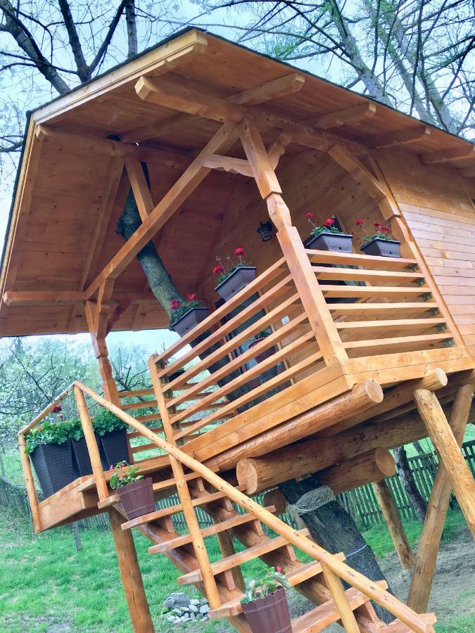 Domeniul Horj Casa Din Cires Moisei Villa Luaran gambar