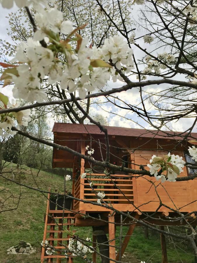 Domeniul Horj Casa Din Cires Moisei Villa Luaran gambar