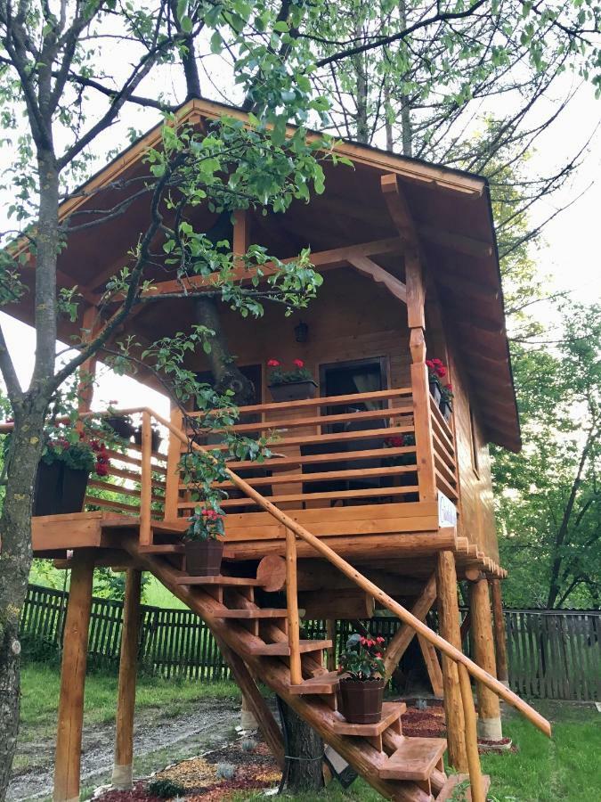 Domeniul Horj Casa Din Cires Moisei Villa Luaran gambar