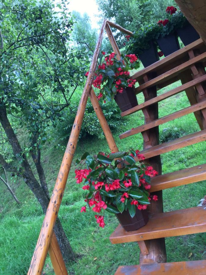 Domeniul Horj Casa Din Cires Moisei Villa Luaran gambar